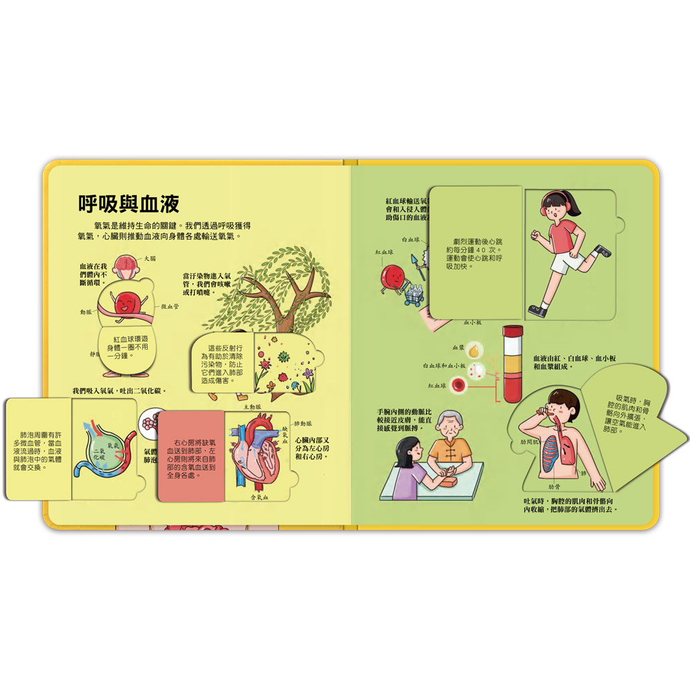 百問百答圖解翻翻書-揭祕身體